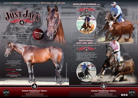 Horse Directory Australia .